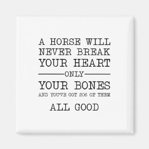 A Horse Will Never Break Your Heart Funny Horsebac Magnet