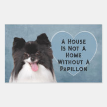 A House Is Not A Home Without A Papillon