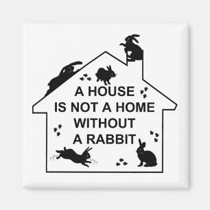 A House is not a Home without a Rabbit Magnet