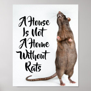 A House is not a Home Without Rats Poster