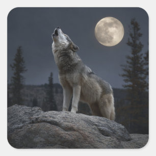 A Howling Wolf Square Sticker