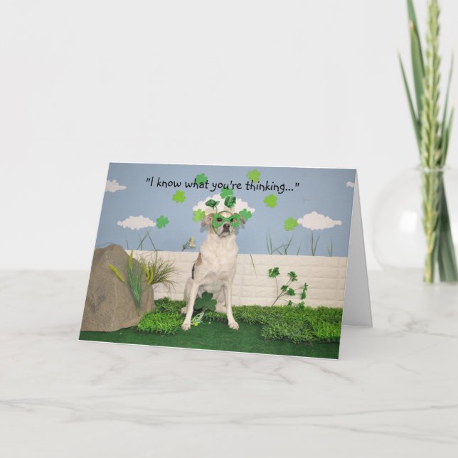 A humourous card, dog dressed for St pat's day. Card (Front)