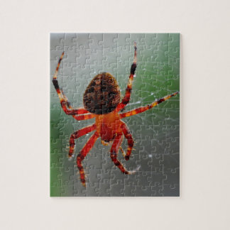 A Hungry Spider Waits Jigsaw Puzzle