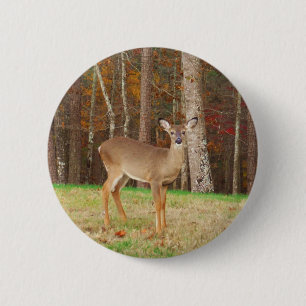 A Hunter's Dream Deer 6 Cm Round Badge