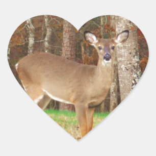 A Hunter's Dream Deer Heart Sticker