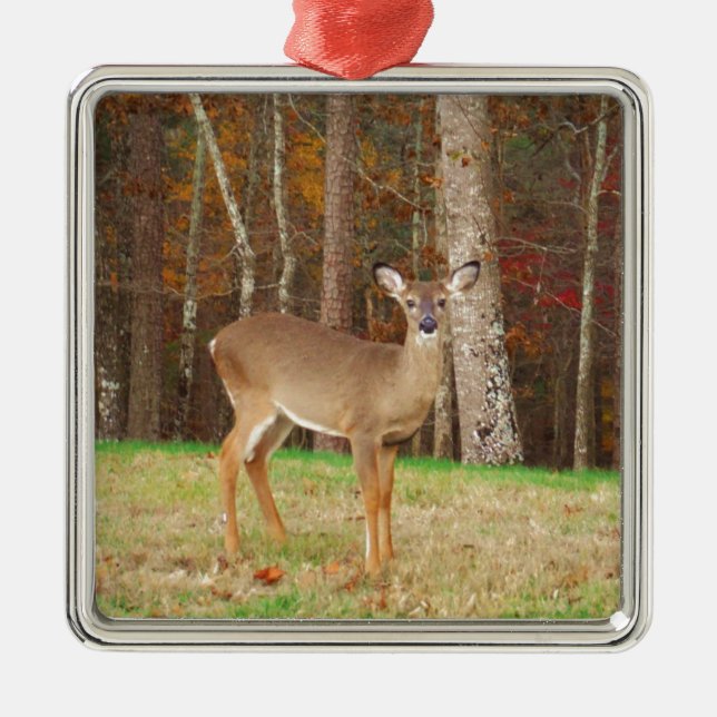 A Hunter's Dream Deer Metal Tree Decoration (Front)