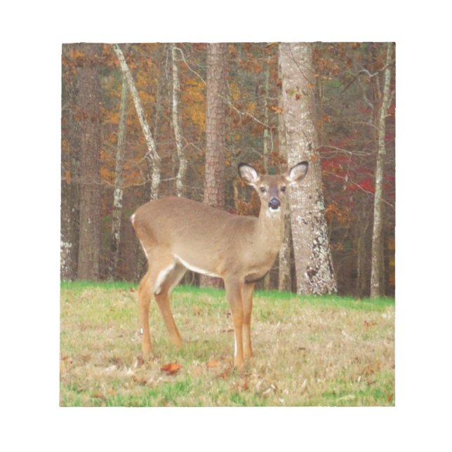 A Hunter's Dream Deer Notepad (Front)