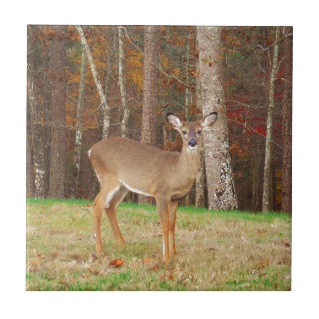 A Hunter's Dream Deer Tile (Front)