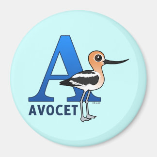 A is for Avocet Magnet