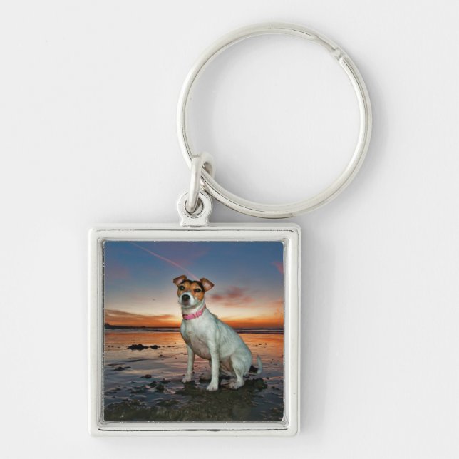 A Jack Russell Sitting Beach | Brighton Beach Key Ring (Front)