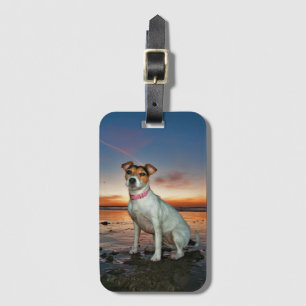A Jack Russell Sitting Beach   Brighton Beach Luggage Tag
