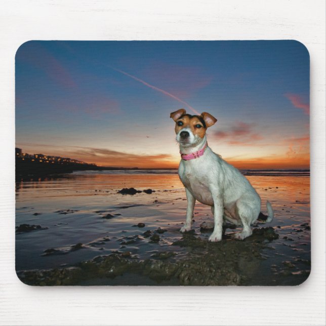 A Jack Russell Sitting Beach | Brighton Beach Mouse Mat (Front)