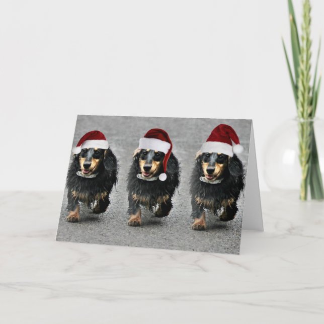 A Jasper SausageChristmas Holiday Card (Front)