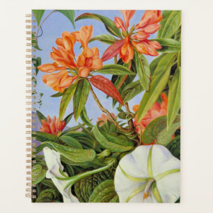 A Javan Rhododendrum and Ipomoea Planner