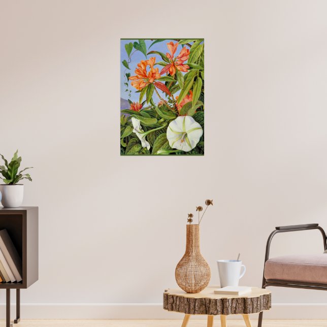A Javan Rhododendrum and Ipomoea Poster (Living Room 3)