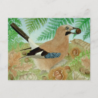 A Jay in the fall Postcard
