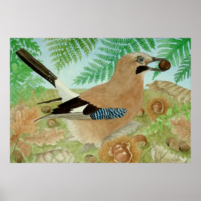 A Jay in the fall Poster (Front)