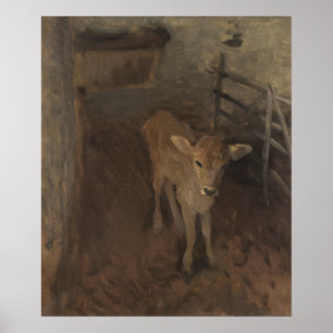 A Jersey Calf Poster