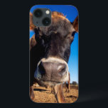 A Jersey cow being inquisitive iPhone 13 Case<br><div class="desc">Gallo Images / DanitaDelimont.com | Africa,  South Africa | A Jersey cow being inquisitive.</div>