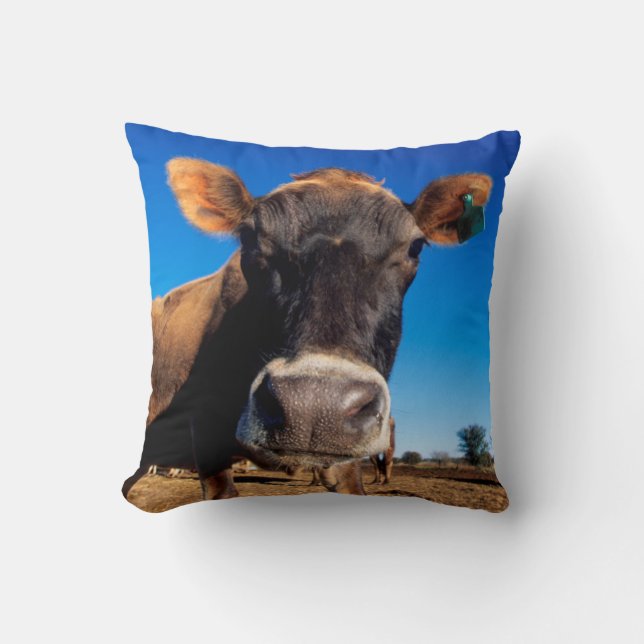 A Jersey cow being inquisitive Cushion (Front)