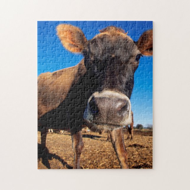 A Jersey cow being inquisitive Jigsaw Puzzle (Vertical)