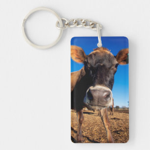 A Jersey cow being inquisitive Key Ring