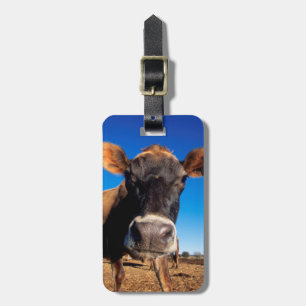 A Jersey cow being inquisitive Luggage Tag