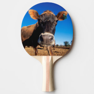 A Jersey cow being inquisitive Ping Pong Paddle