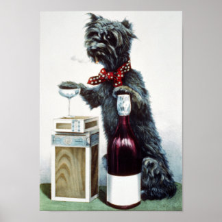 A jolly dog poster