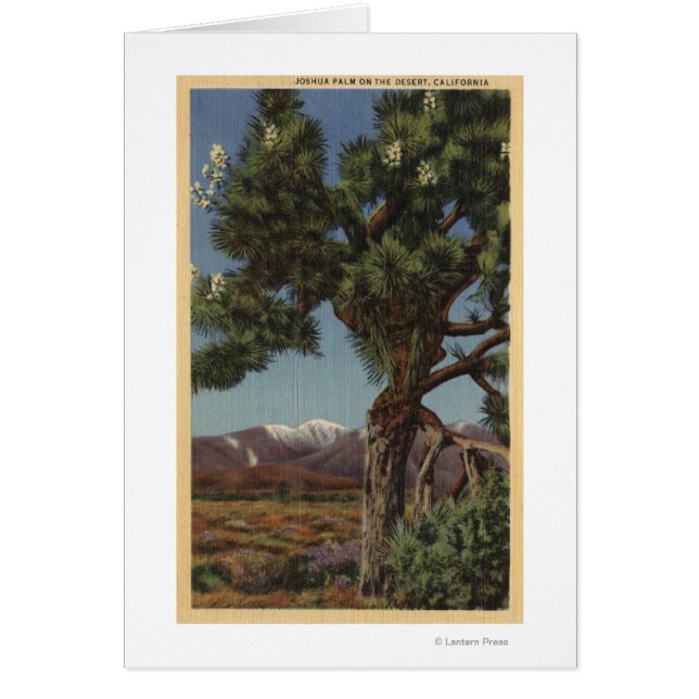 A Joshua Palm in Bloom in Californian Desert (Front)