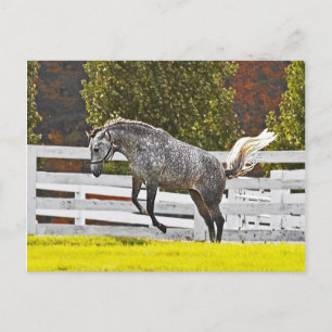 A Joyful Leap Postcard