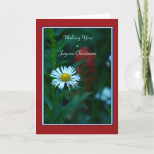 A Joyous Christmas, White Daisy Wildflower Holiday Card