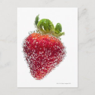 A juicy ripe organic Strawberry fruit submerged Postcard