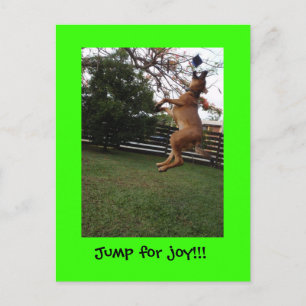 A jump for joy!! postcard