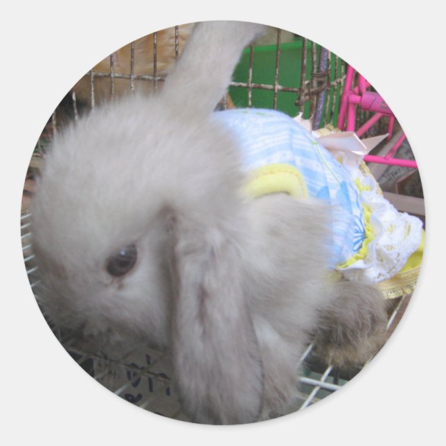 A Kawaii Baby Rabbit in a Dress Classic Round Sticker (Front)