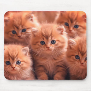 A Kindle Of Cute Kittens on Laptop Desktop Tablet Mouse Mat