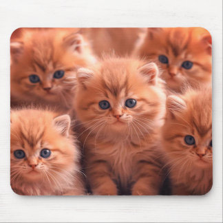 A Kindle Of Cute Kittens on Laptop Desktop Tablet Mouse Mat