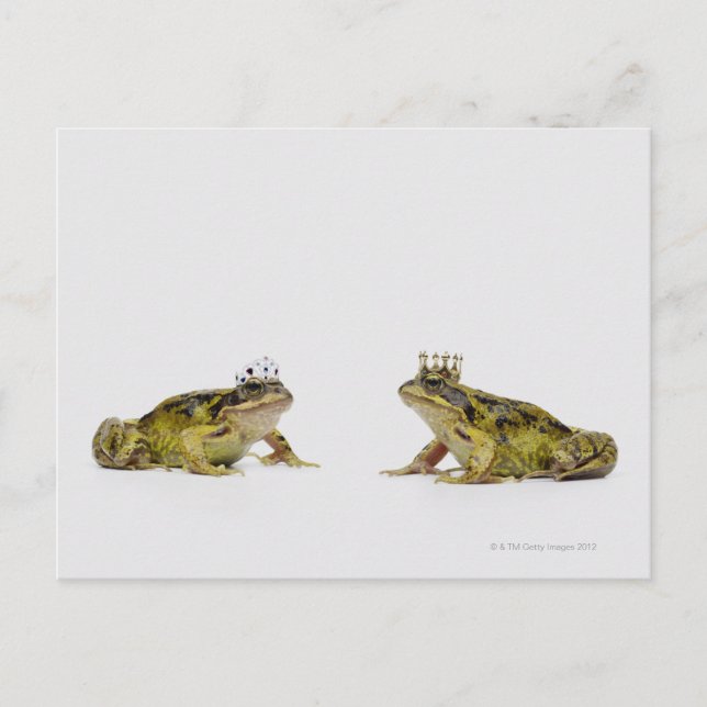 a king and queen frog looking at each other postcard (Front)