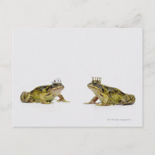 a king and queen frog looking at each other postcard