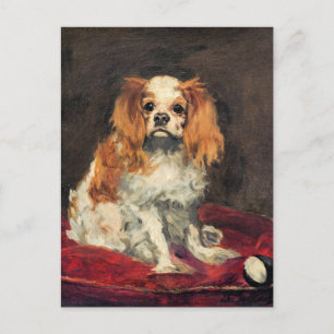 A King Charles Spaniel, fine art Postcard