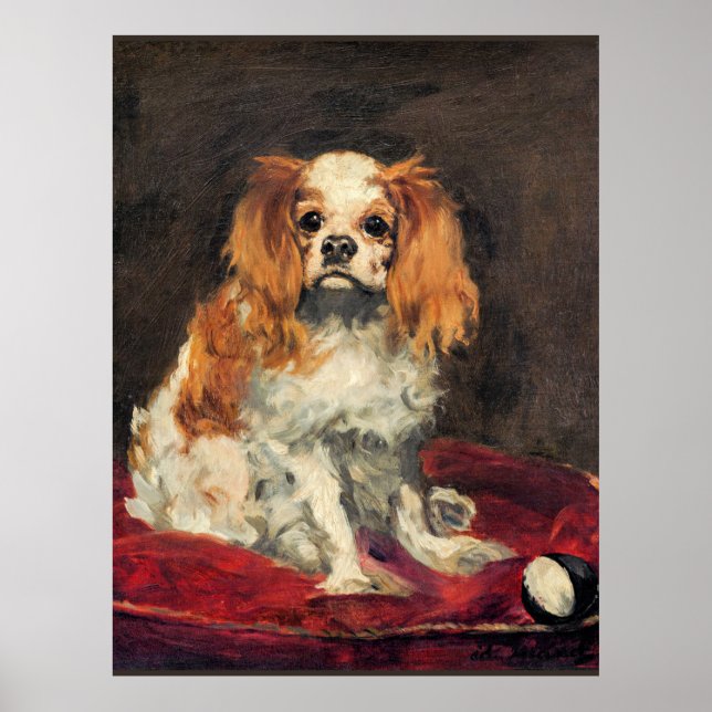 A King Charles Spaniel, fine art Poster (Front)