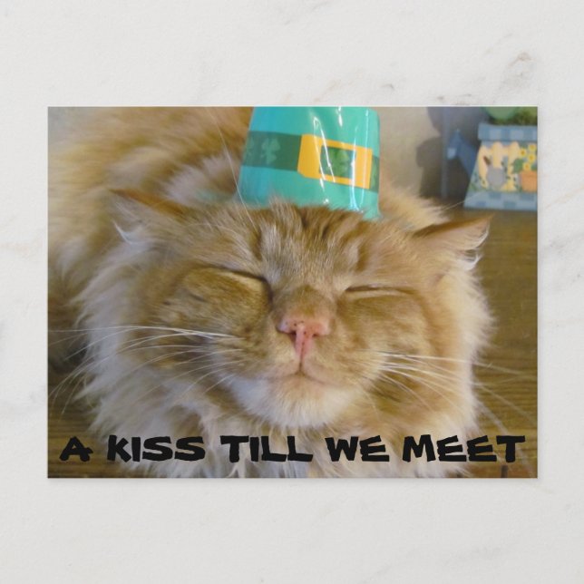 A Kiss Till We Meet Postcard (Front)