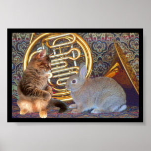 A Kitten, a Bunny and a French Horn Poster