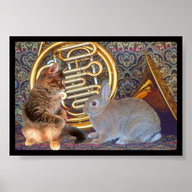 A Kitten, a Bunny and a French Horn Poster (Front)