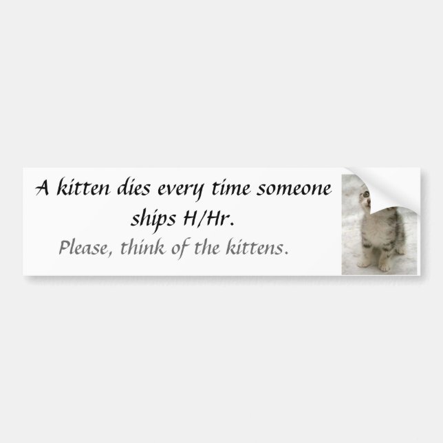 A kitten dies... bumper sticker (Front)