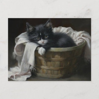 A Kittens Cosy Corner Postcard