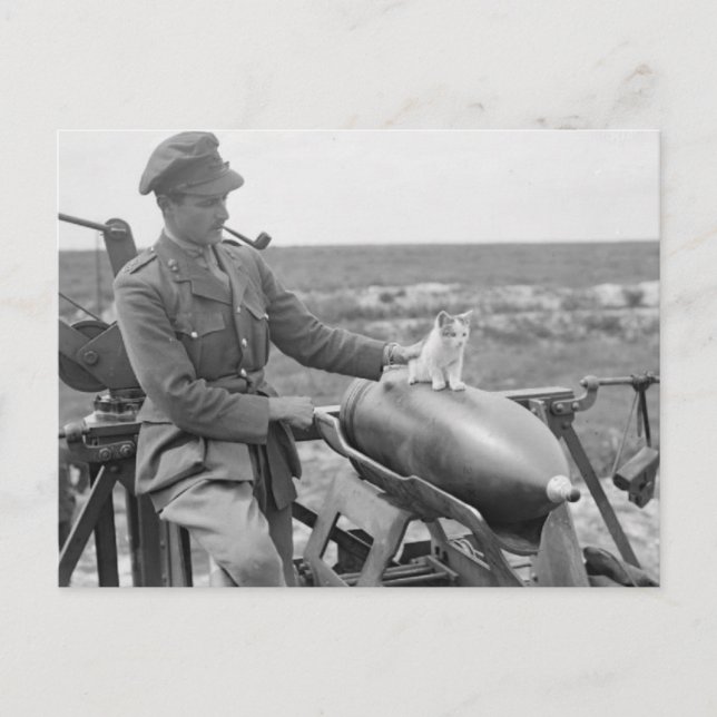 A Kitty at War Postcard (Front)