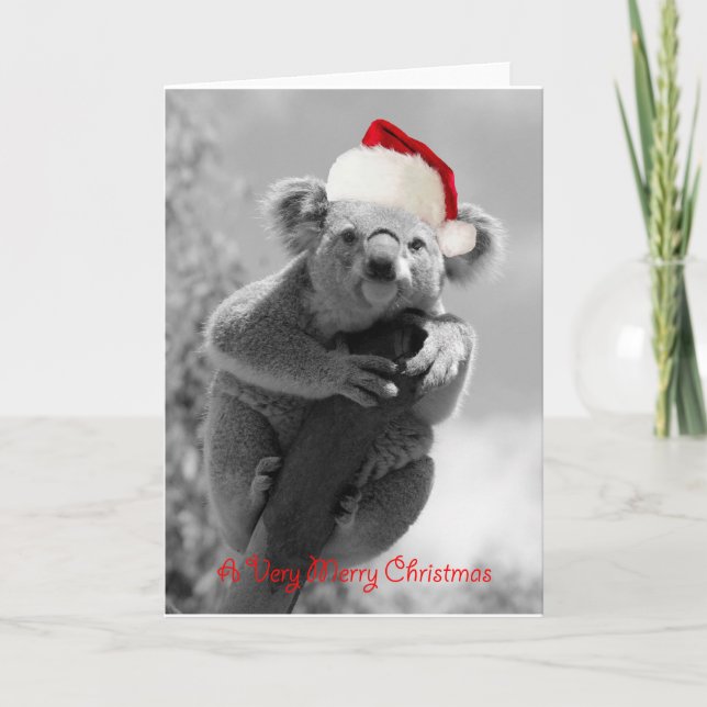 A koala happy christmas holiday card (Front)
