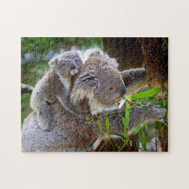 A Koala mother and baby in a tree Jigsaw Puzzle (Horizontal)
