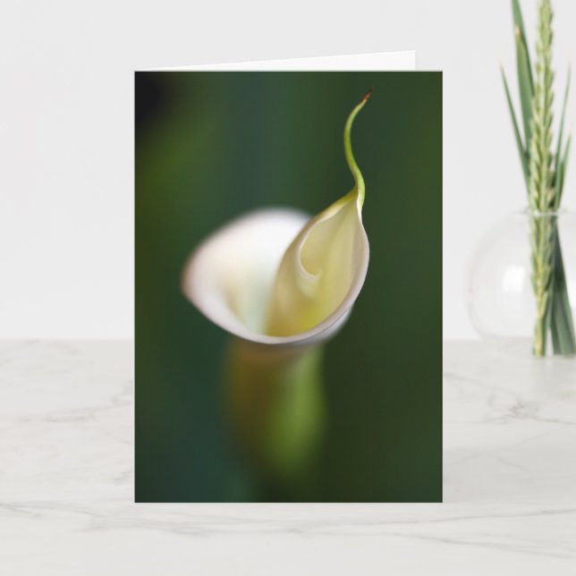 A lady in white card (Front)